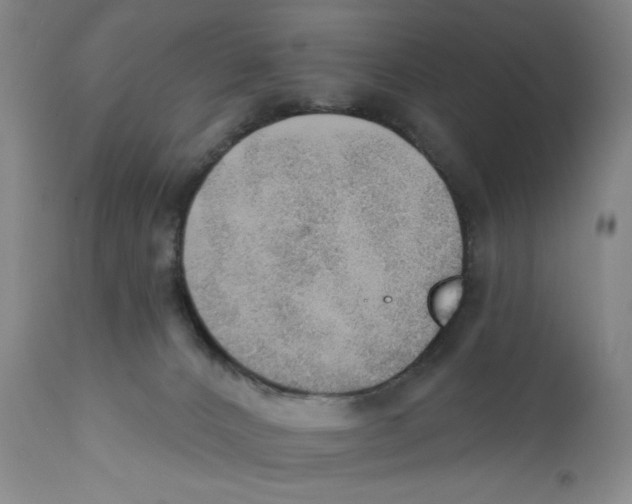 X0000110760032200907131220