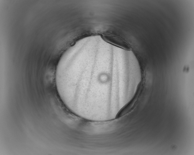X0000110760033200907131220