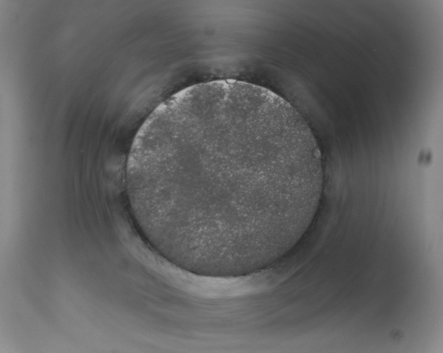 X0000110760034200907131220