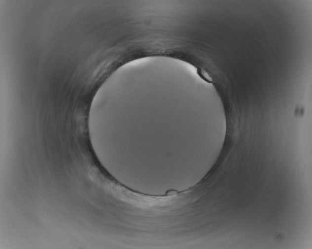 X0000110760035200907131220