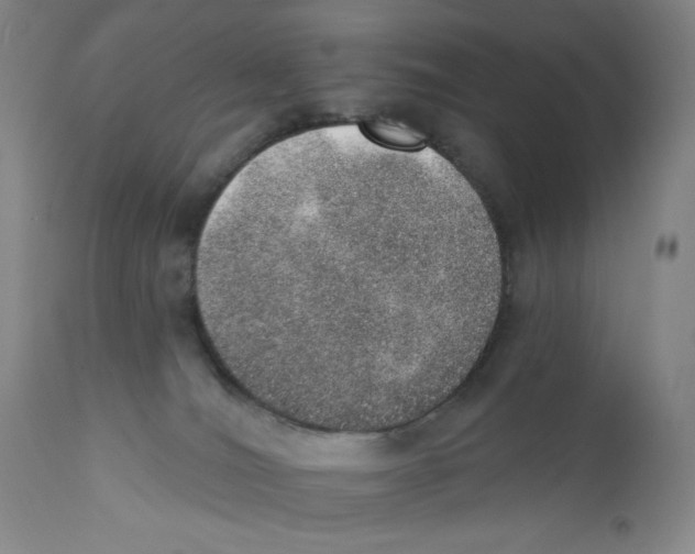 X0000110760036200907131220