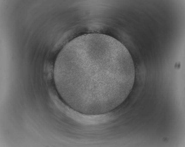 X0000110760038200907131220