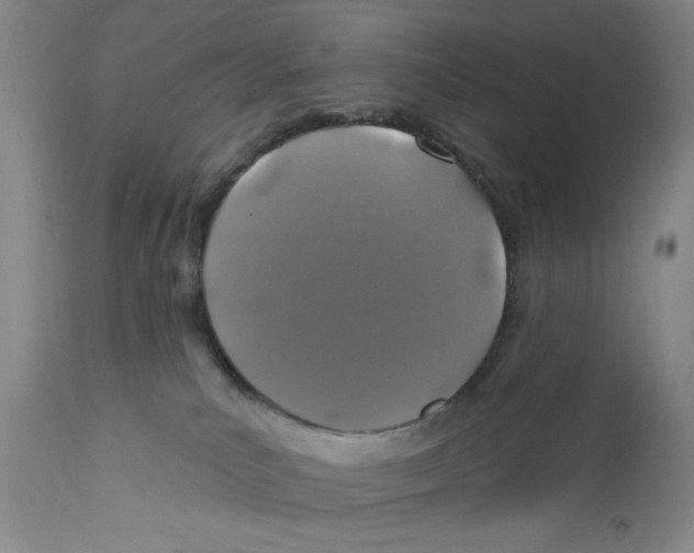 X0000110760039200907131220