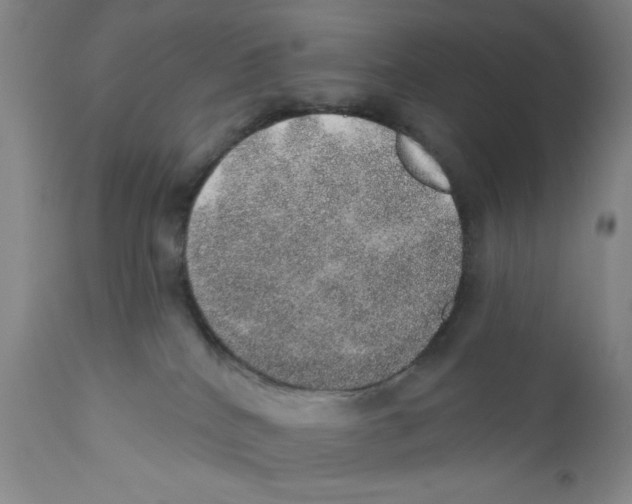 X0000110760040200907131220