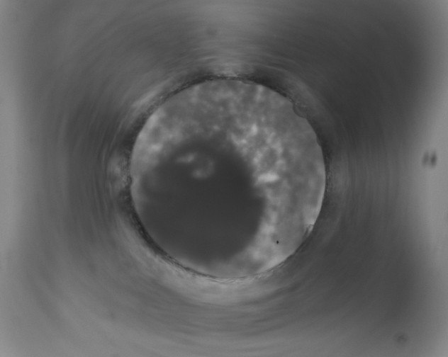 X0000110760043200907131220
