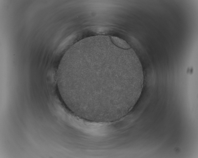 X0000110760044200907131220