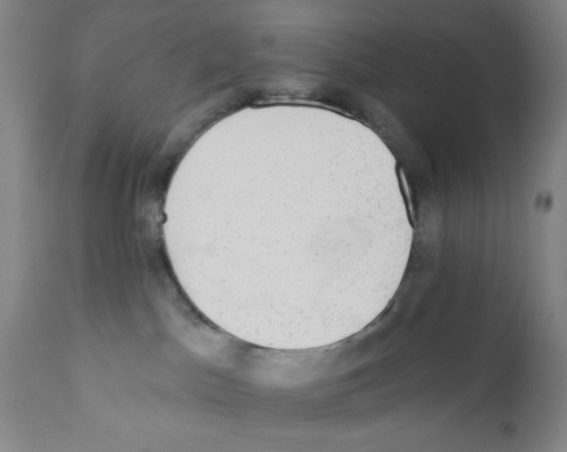 X0000110760045200907131220