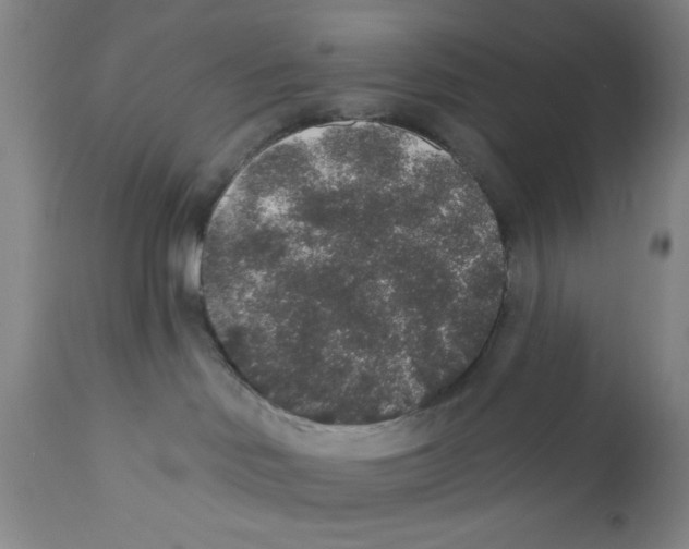 X0000110760046200907131220