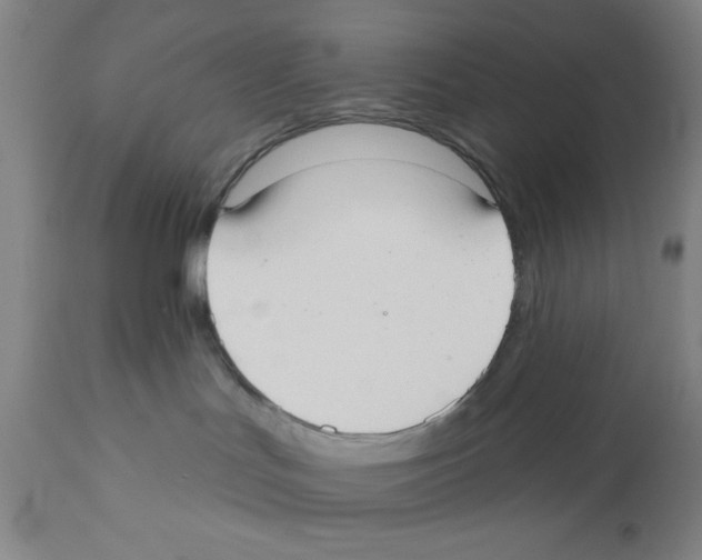 X0000110760047200907131220