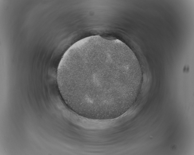 X0000110760048200907131220