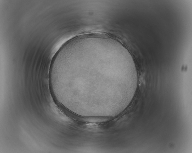 X0000110760052200907131220