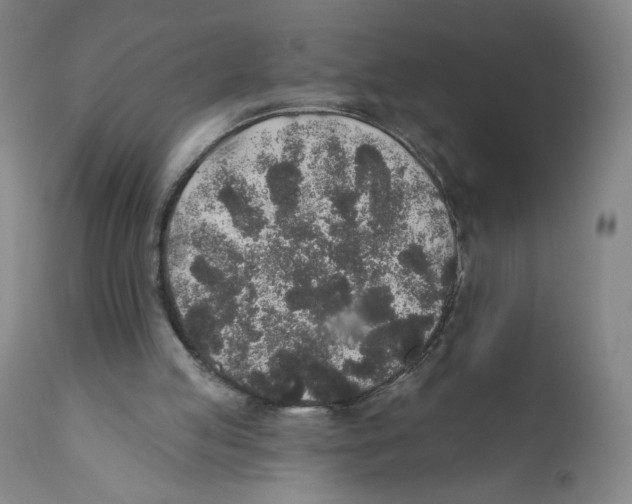 X0000110760053200907131220