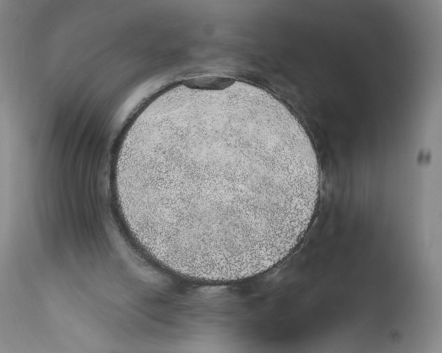 X0000110760054200907131220