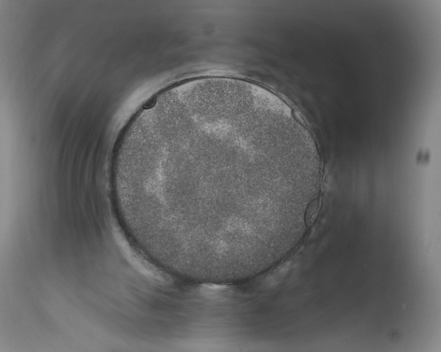 X0000110760055200907131220