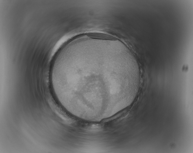 X0000110760056200907131220