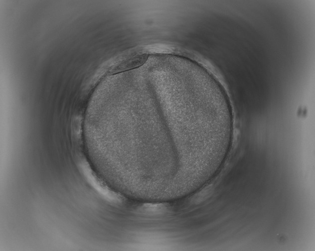 X0000110760057200907131220