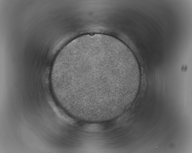 X0000110760058200907131220