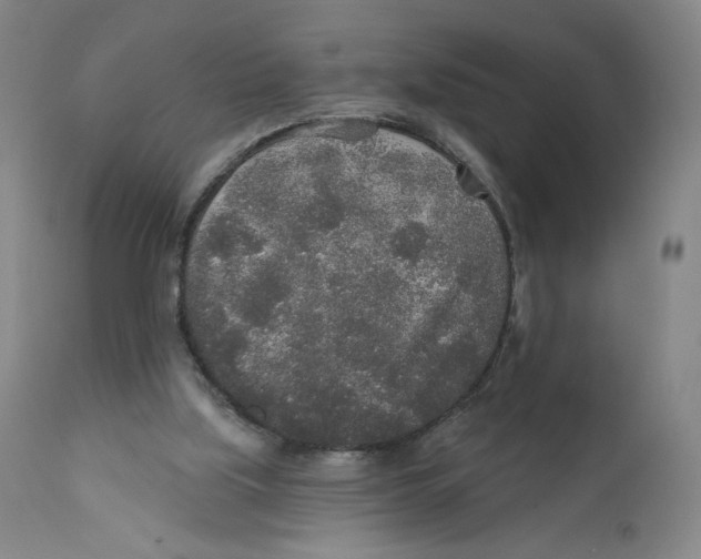 X0000110760059200907131220