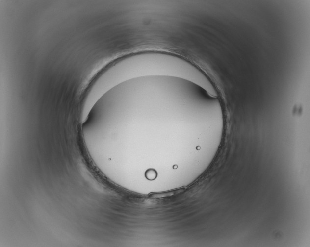 X0000110760060200907131220