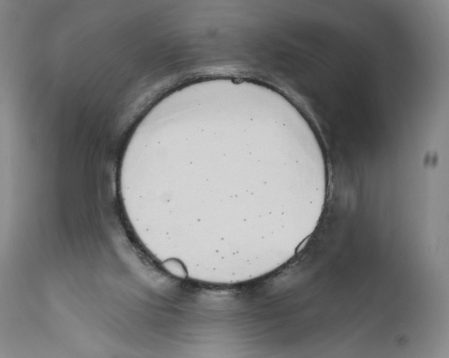 X0000110760061200907131220