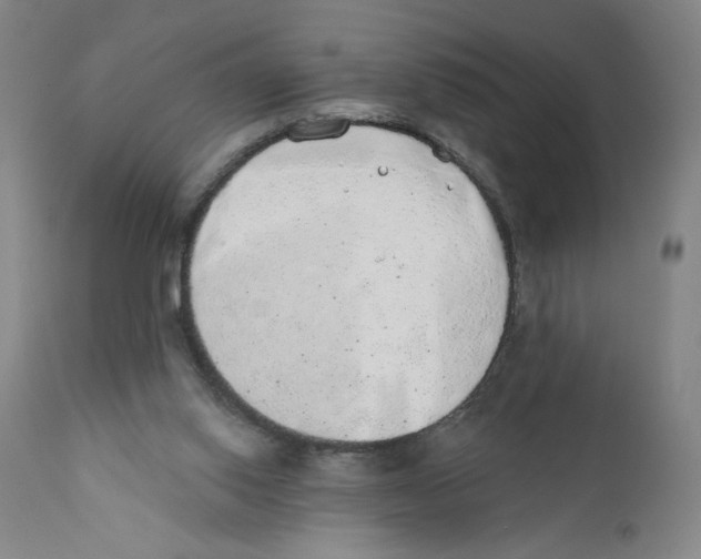 X0000110760062200907131220