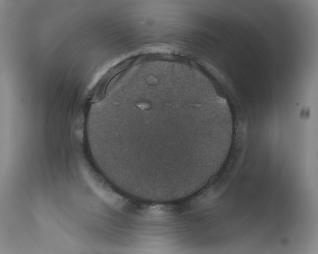 X0000110760064200907131220