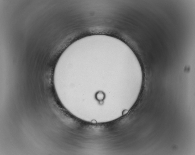 X0000110760065200907131220