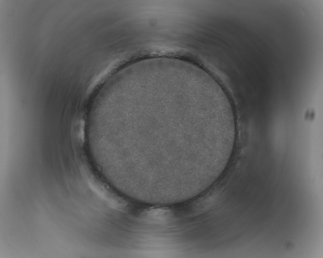 X0000110760067200907131220