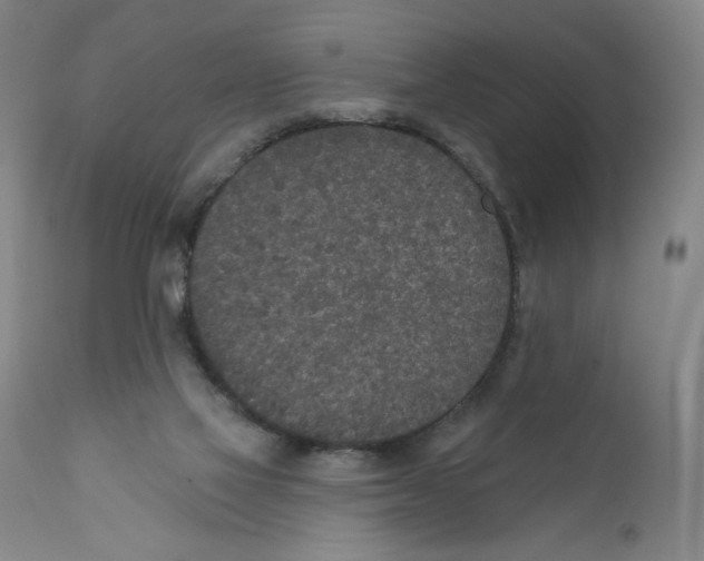 X0000110760069200907131220