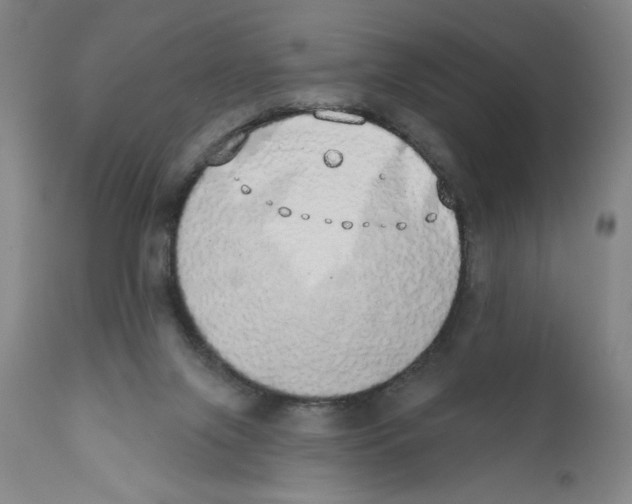 X0000110760071200907131220