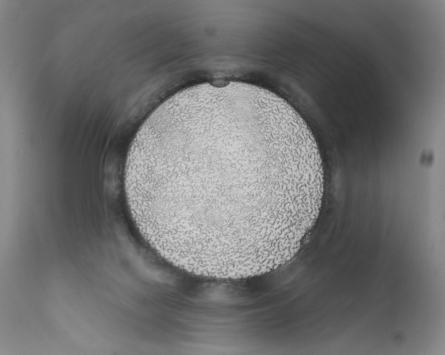 X0000110760074200907131220