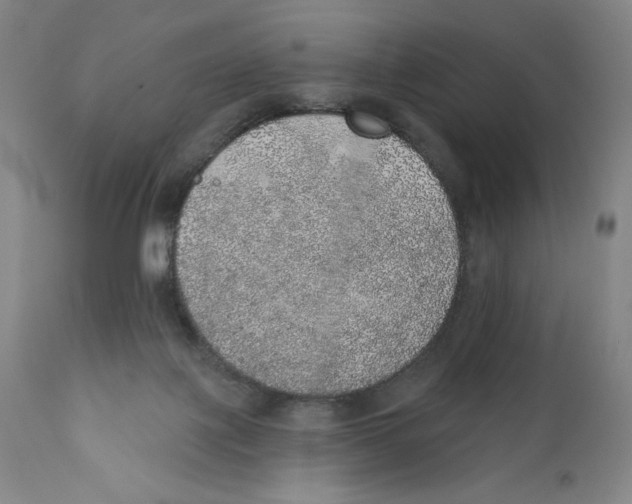 X0000110760075200907131220