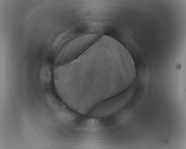 X0000110760080200907131220