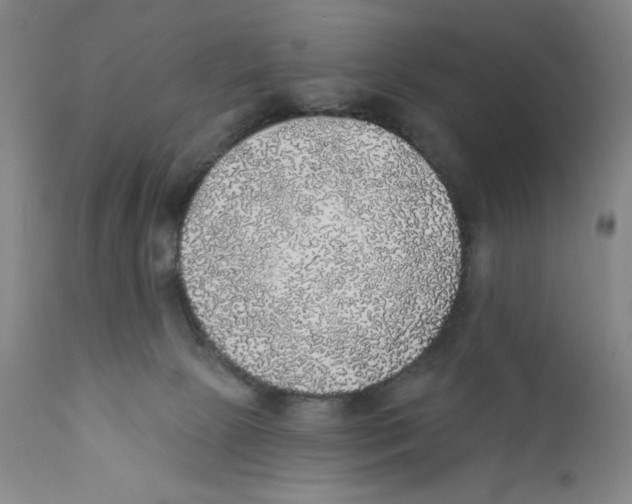X0000110760081200907131220
