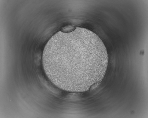 X0000110760082200907131220