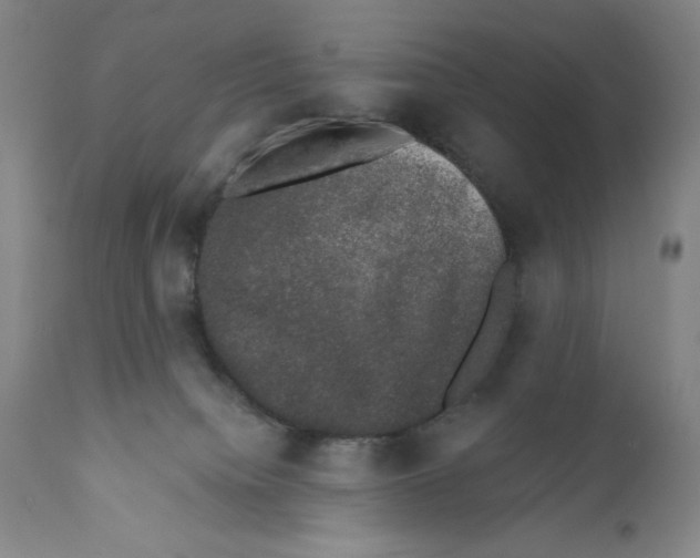 X0000110760084200907131220