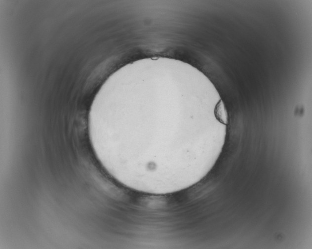 X0000110760085200907131220