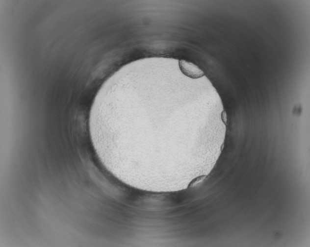 X0000110760086200907131220