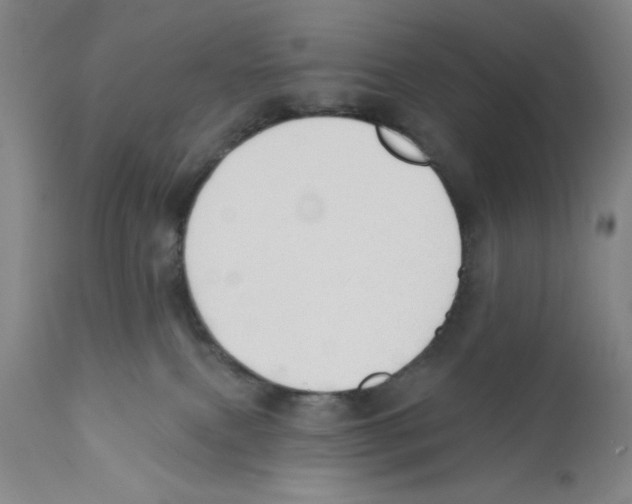 X0000110760087200907131220