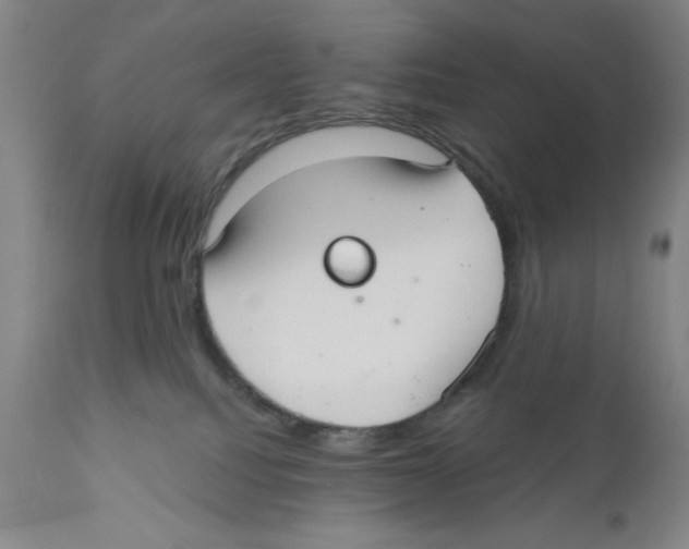 X0000110760088200907131220