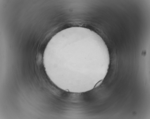X0000110760089200907131220