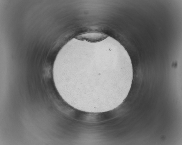 X0000110760090200907131220