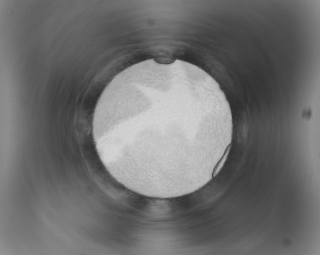 X0000110760091200907131220