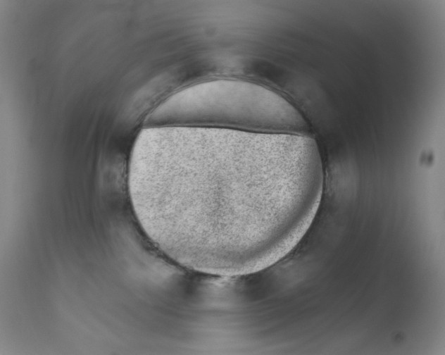 X0000110760092200907131220