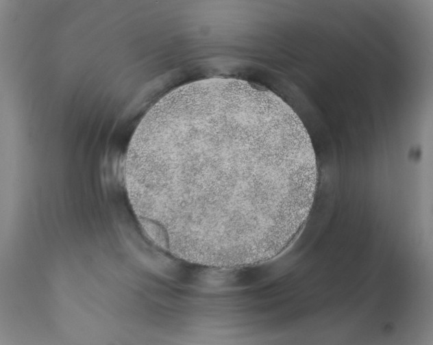 X0000110760094200907131220