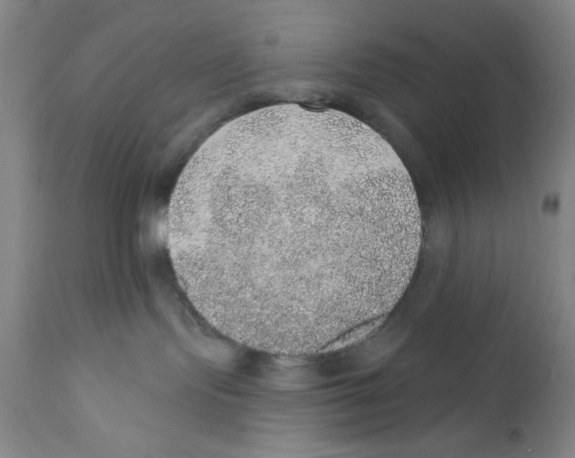 X0000110760095200907131220