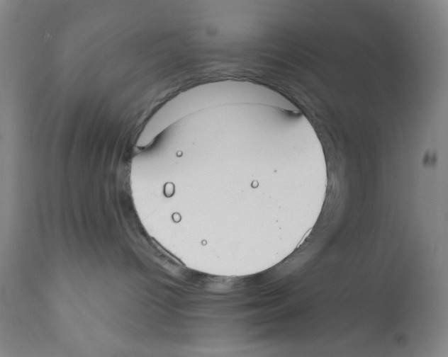 X0000110760096200907131220