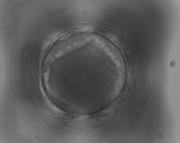 X0000110760097200907131219