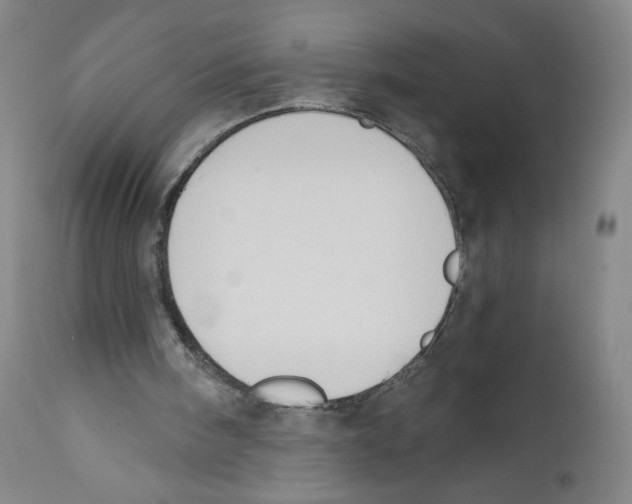 X0000110760098200907131219