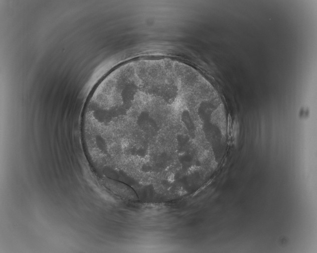 X0000110760099200907131219